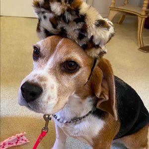 Meet your Posher, Liz